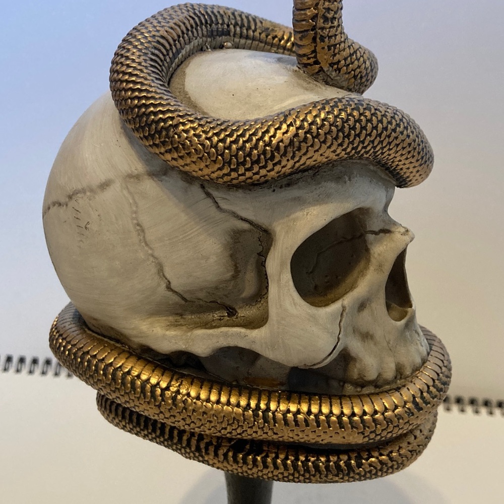 Ashland Skull with Bronze Snake Pedestal Halloween Spooky Decor - Picture 6 of 11